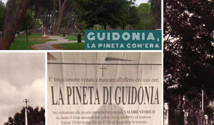 Guidonia, il Polo civico partecipa al funerale della pineta: “Sosteniamo l’iniziativa”