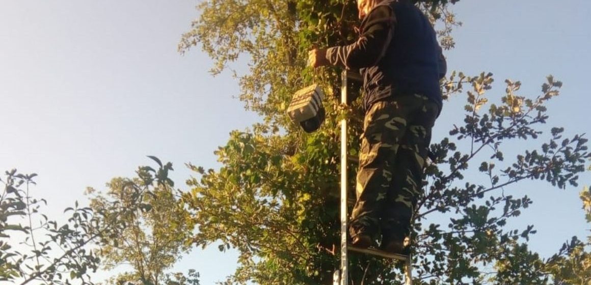 Guidonia, caccia illegale all’Inviolata: scoperto richiamo per quaglie