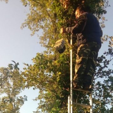 Guidonia, caccia illegale all’Inviolata: scoperto richiamo per quaglie