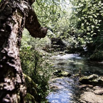 Nasce l’associazione Accademia Kronos Valle dell’Aniene per la salvaguardia dell’ambiente