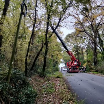 Via di Santa Lucia: chiuso un tratto per la potatura degli alberi