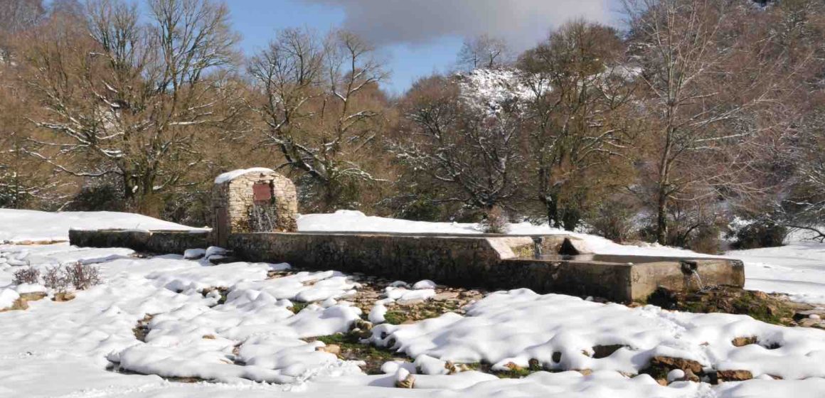 Lucretili, il fontanile Campitello tornerà a splendere