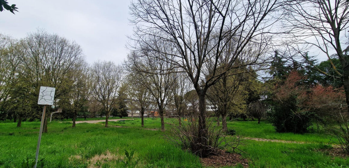 Guidonia Montecelio, il parco in via dei Platani sarà gestito dal Comune. La data della consegna Guidonia Montecelio, il parco in via dei Platani sarà gestito dal Comune. La data della consegna