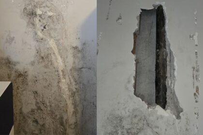 Case popolari Tivoli (da Unione Inquilini Tivoli)