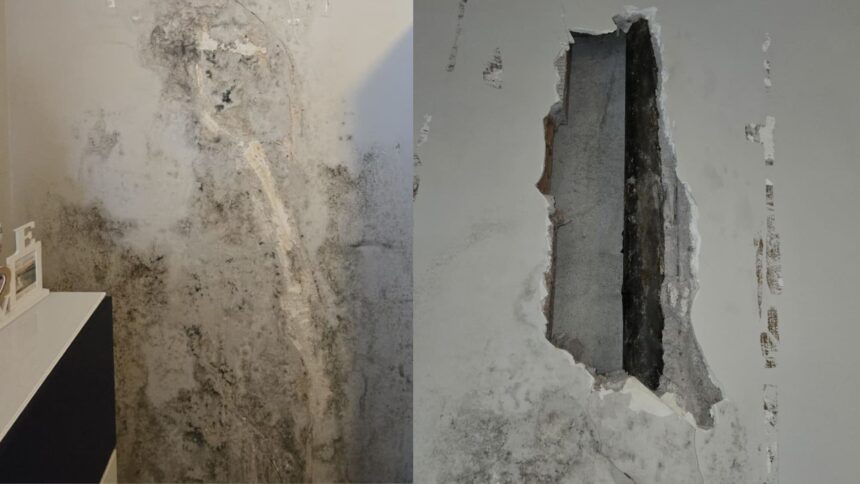 Case popolari Tivoli (da Unione Inquilini Tivoli)