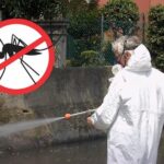 west nile