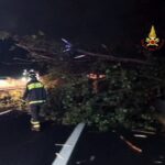 Vigili del Fuoco - Roma 081026