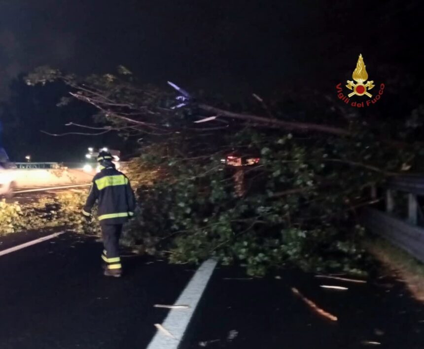 Vigili del Fuoco - Roma 081026